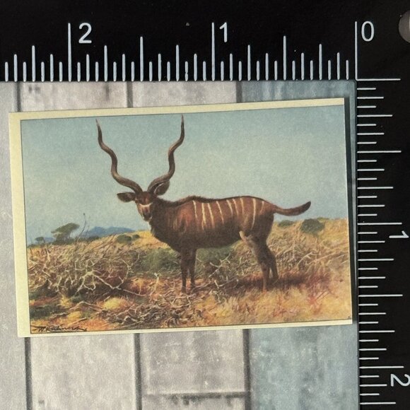 🌀10/$10🌀 Classic Grassland Animals Reusable Washi Sticker Decal - Picture 1 of 1